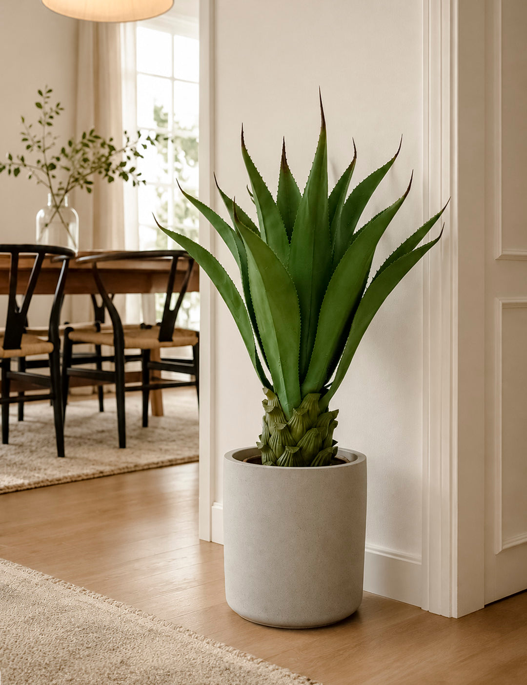 Agave95cm.jpg