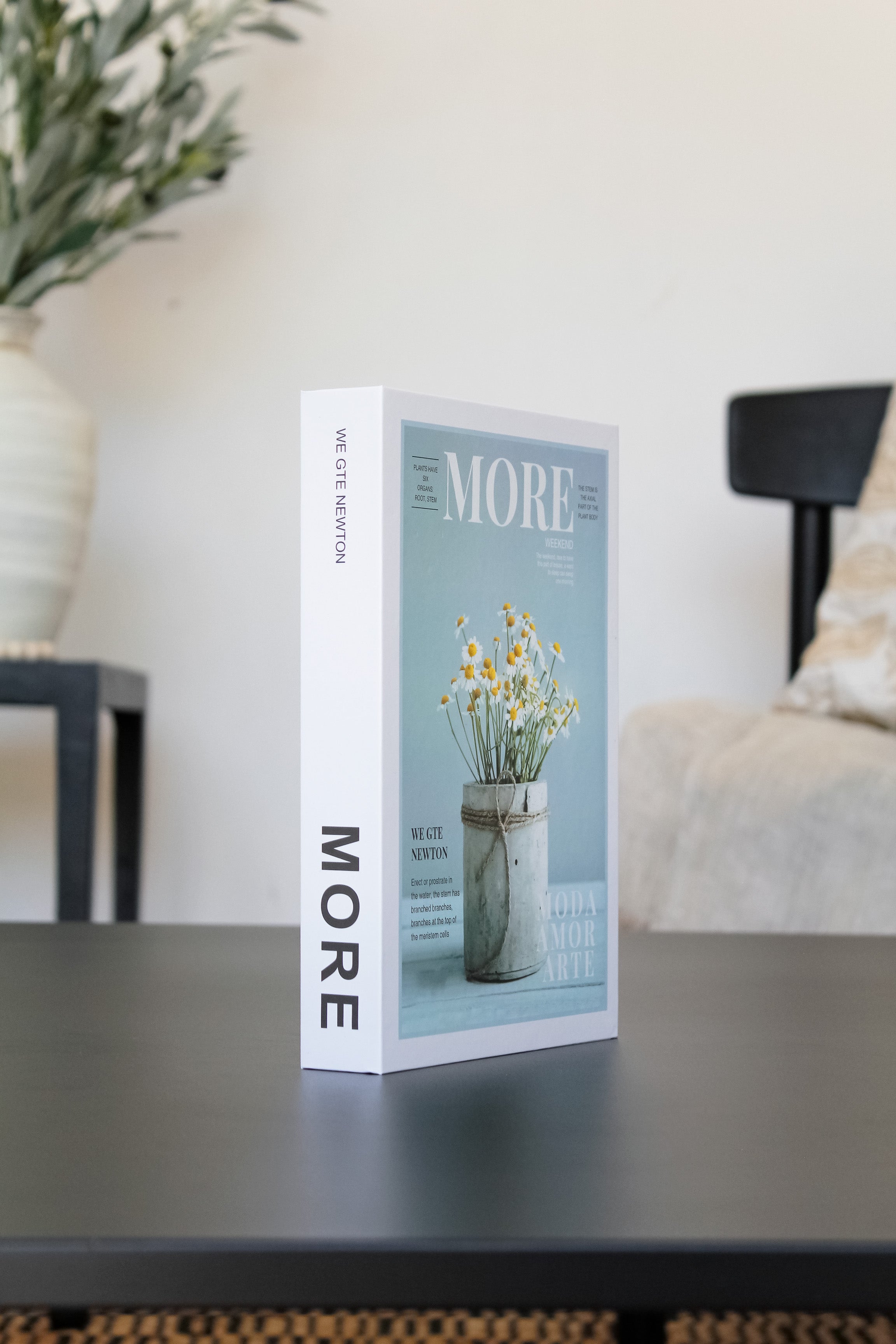 Imitación Libro "More"