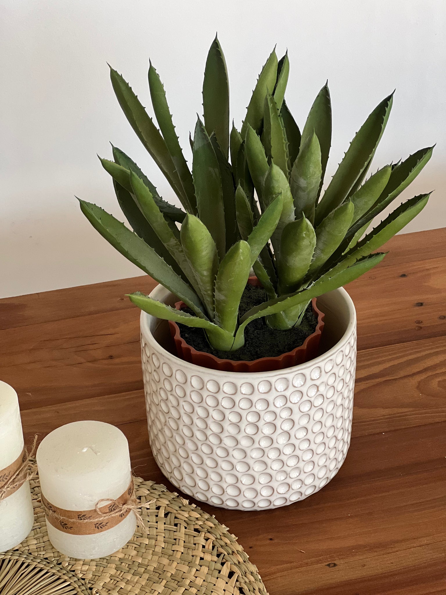 Macetero Planta Aloe S