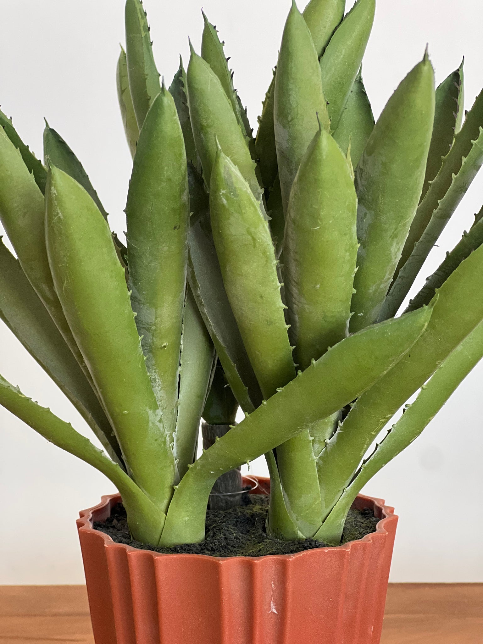 Macetero Planta Aloe S