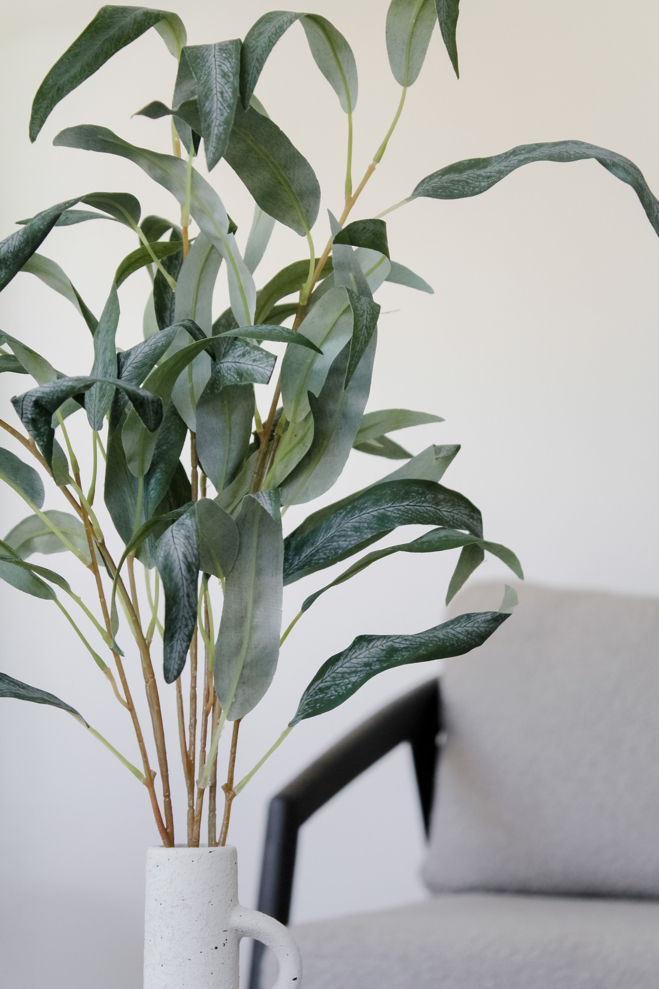 Rama Eucalipto Hoja Larga