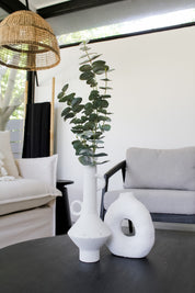 Rama Eucalipto Hoja Redonda