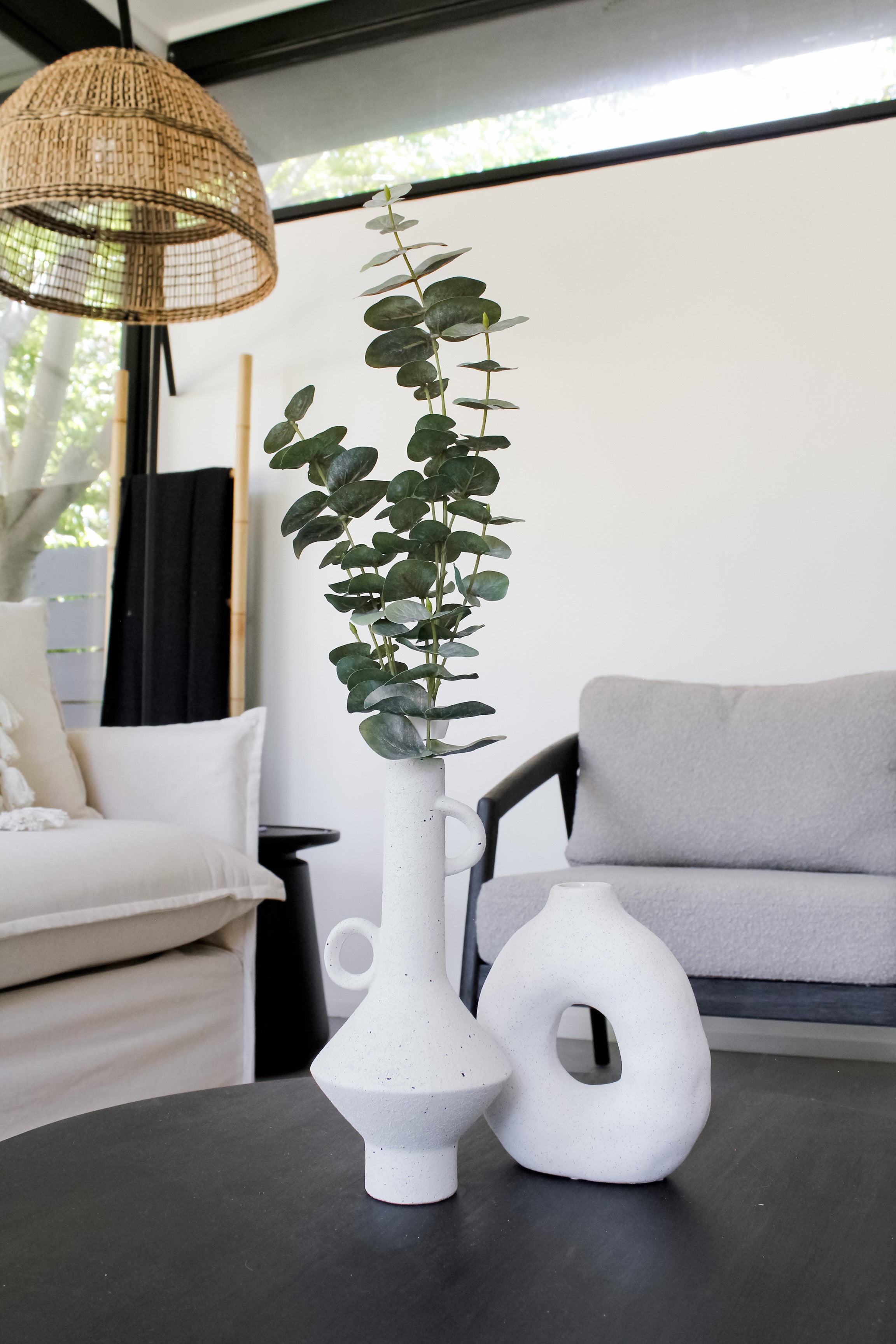 Rama Eucalipto Hoja Redonda