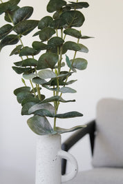 Rama Eucalipto Hoja Redonda