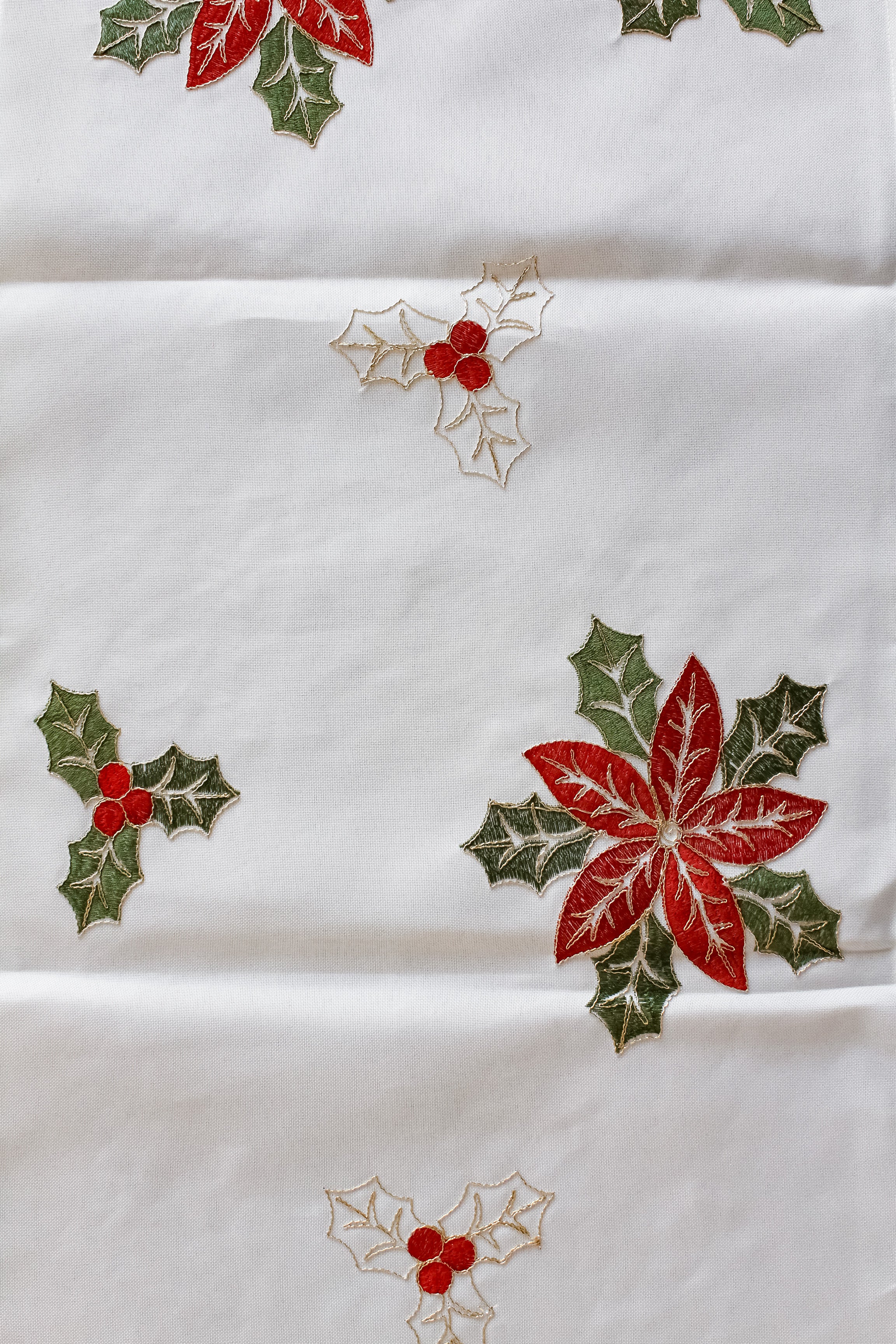 Camino de Mesa Muérdago