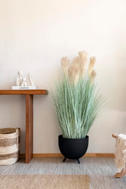 Cola de Zorro Pampas Beige