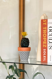 Mini Cactus Flor Amarilla Chico