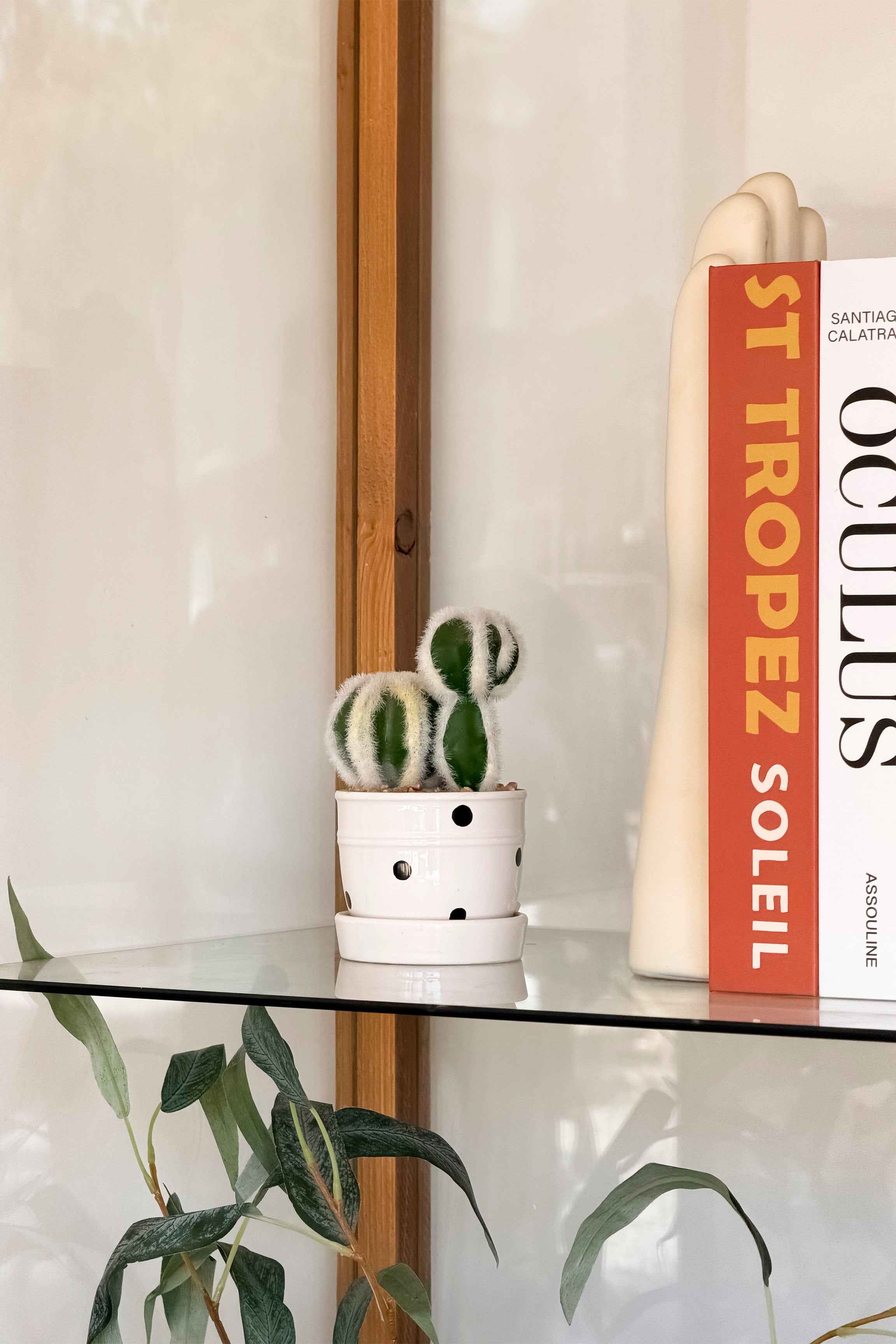 Mini Cactus Macetero Lunares