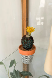 Mini Cactus Flor Amarilla Chico