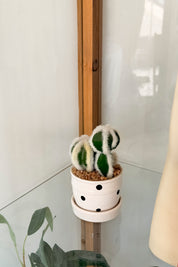 Mini Cactus Macetero Lunares
