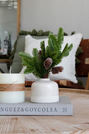 Rama Pino con Piñas