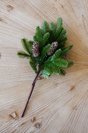 Rama Pino con Piñas