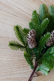 Rama Pino con Piñas