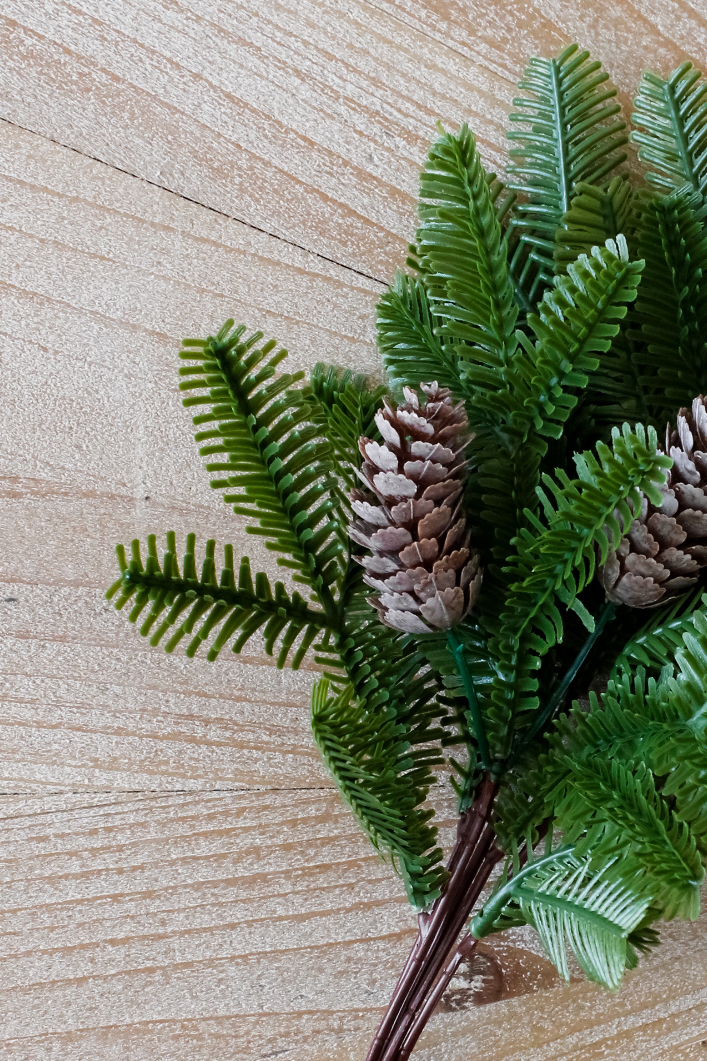 Rama Pino con Piñas