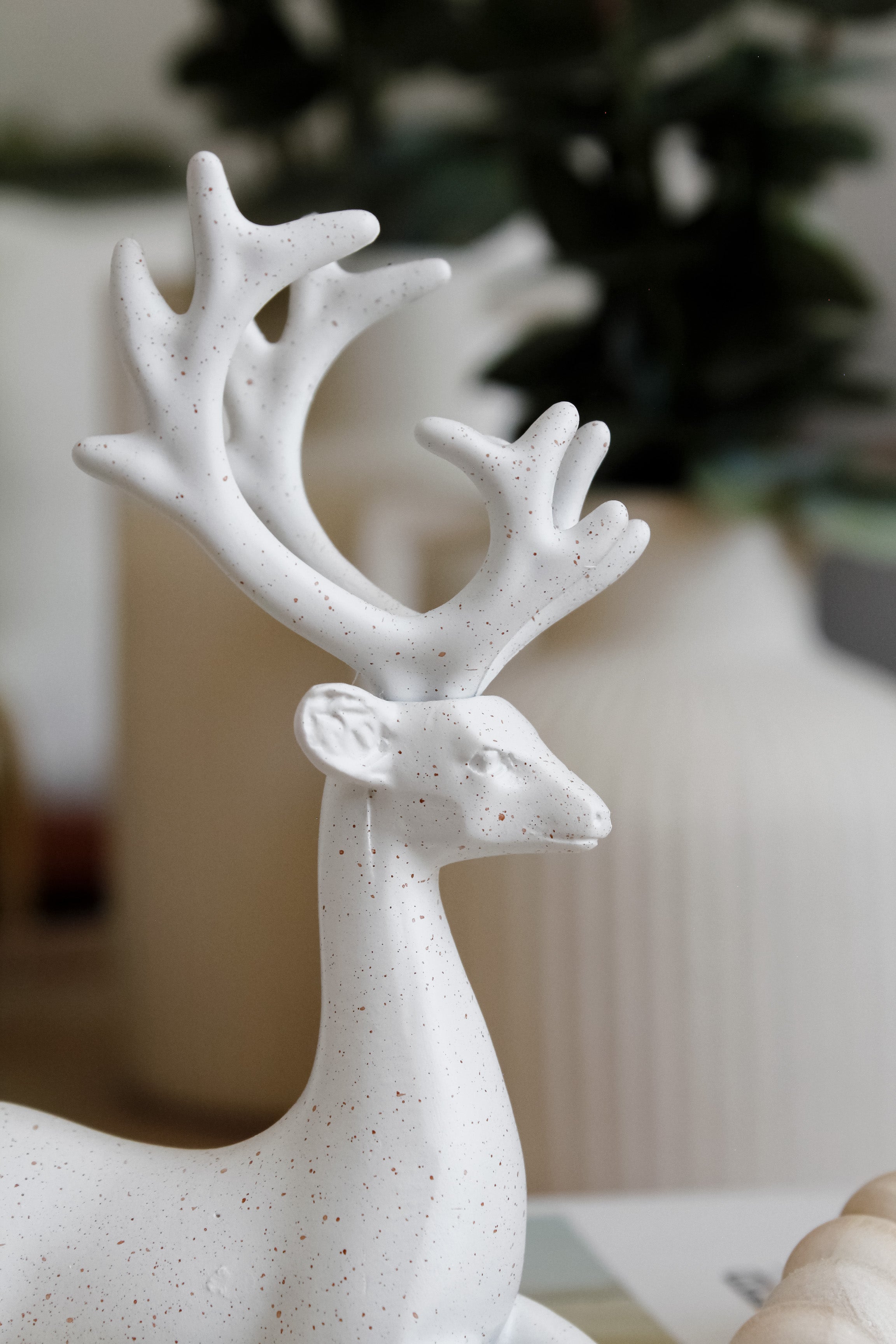 Ciervo Blanco Jaspeado Chico