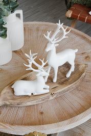 Ciervo Blanco Jaspeado Grande