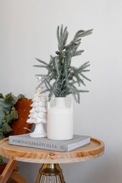 Rama Pino Brillante con Piñas