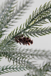 Rama Pino Brillante con Piñas