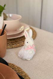 Mini Conejo Hembra