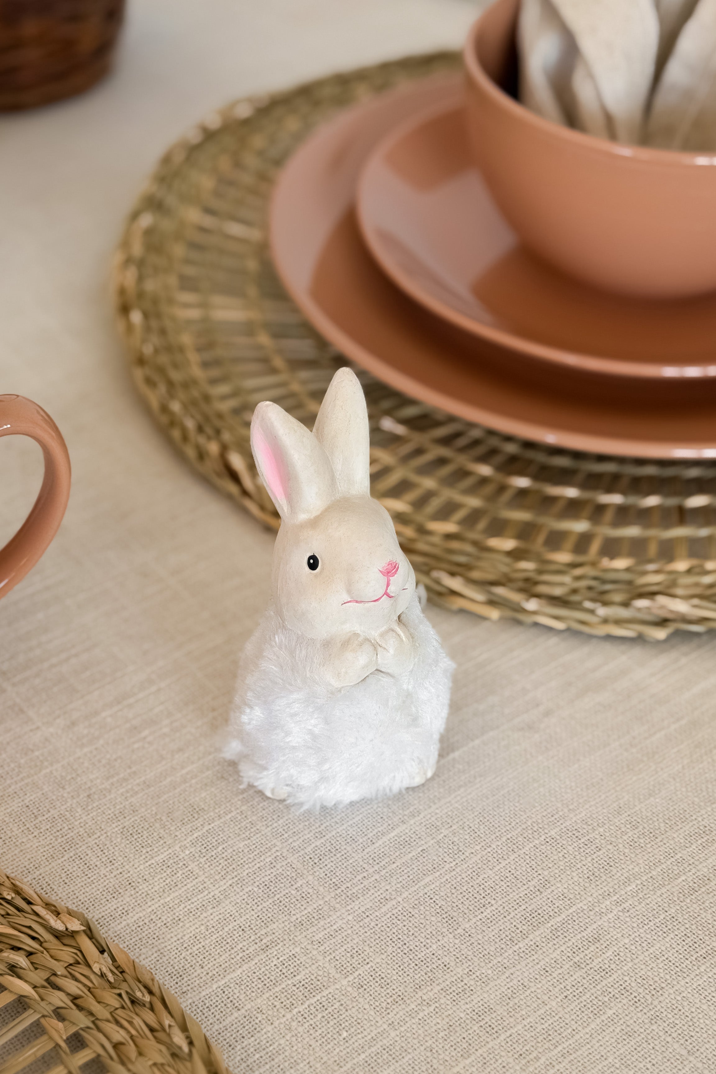 Mini Conejo Macho