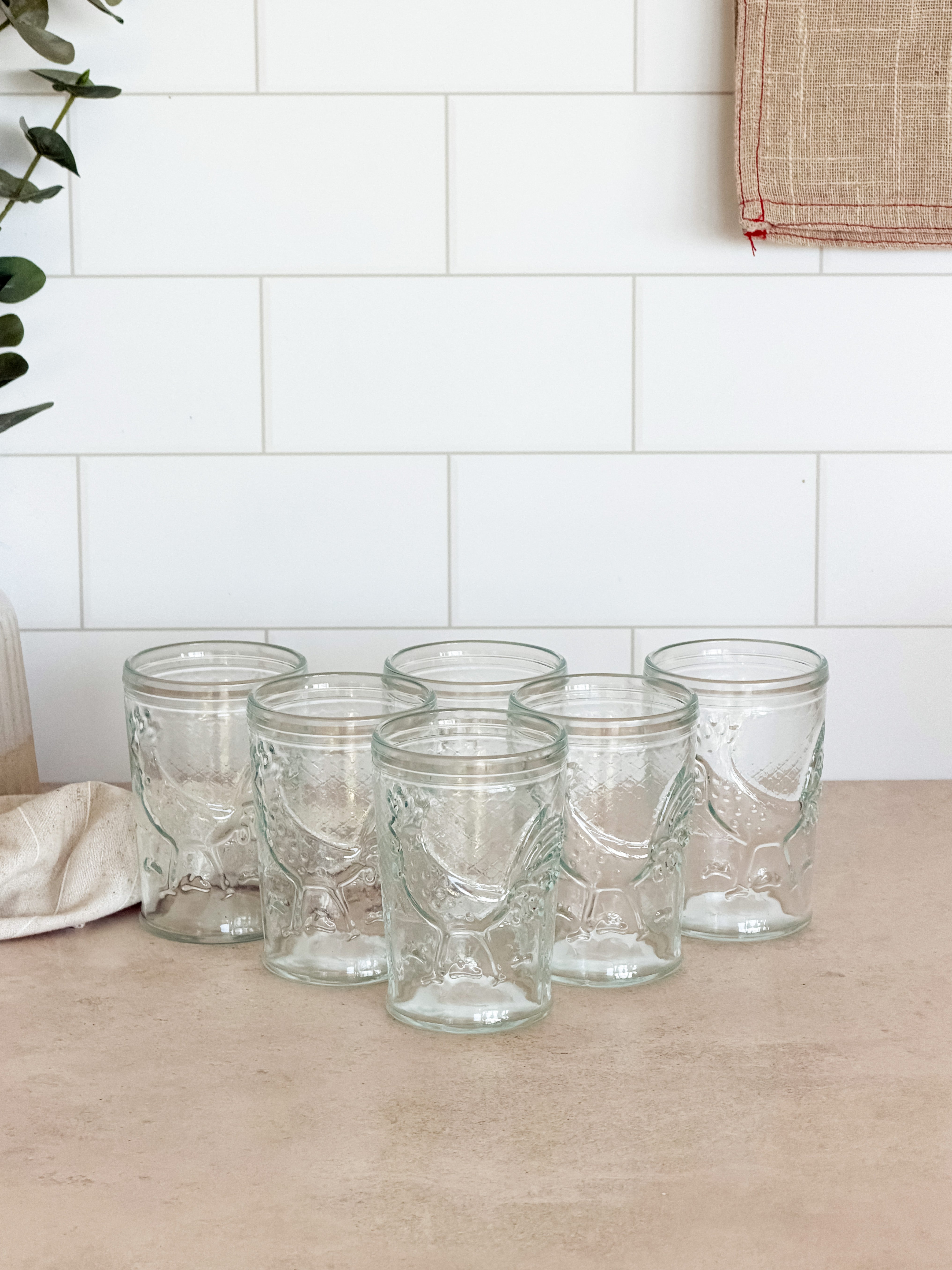 Set Vasos Gallo