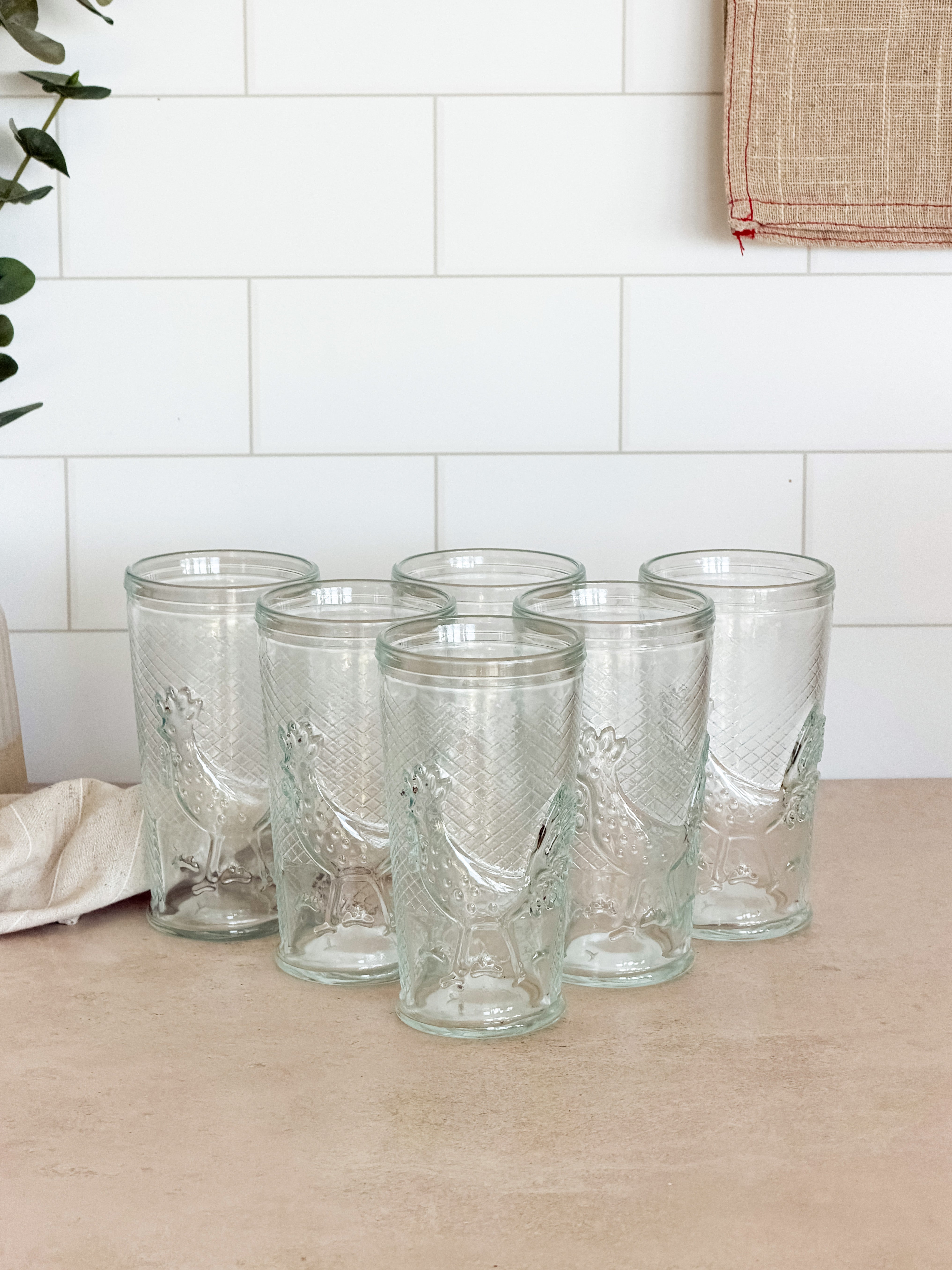 Set Vasos Gallo