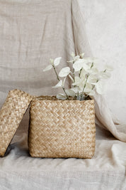 Canasto Caja Trenzado Natural