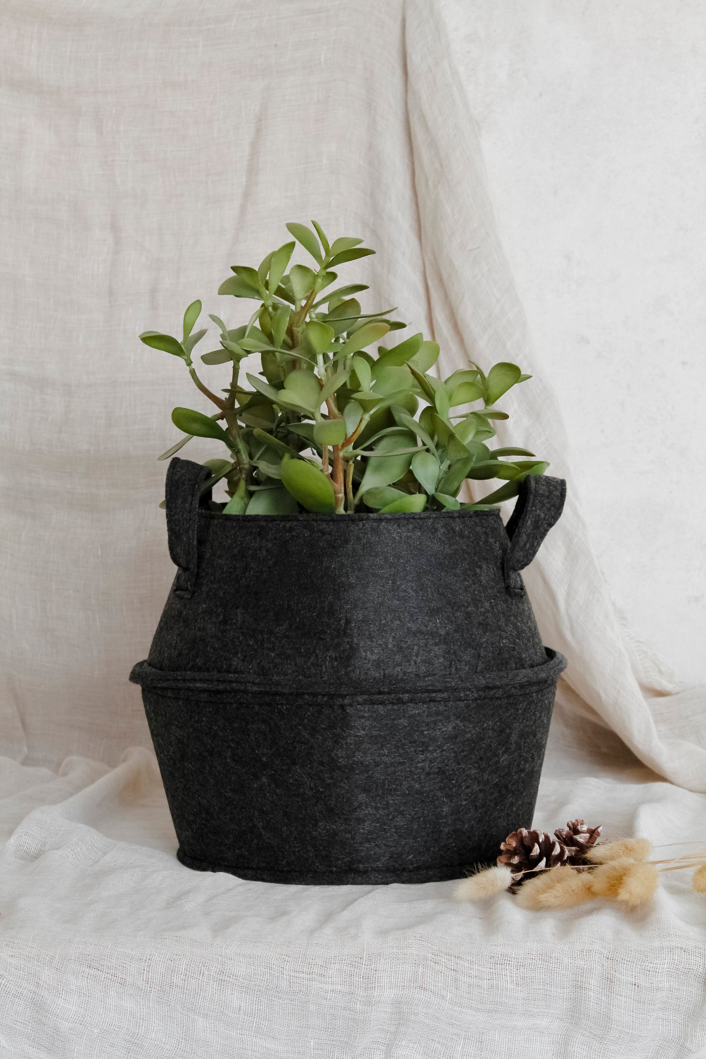 Canasto Fieltro Grafito