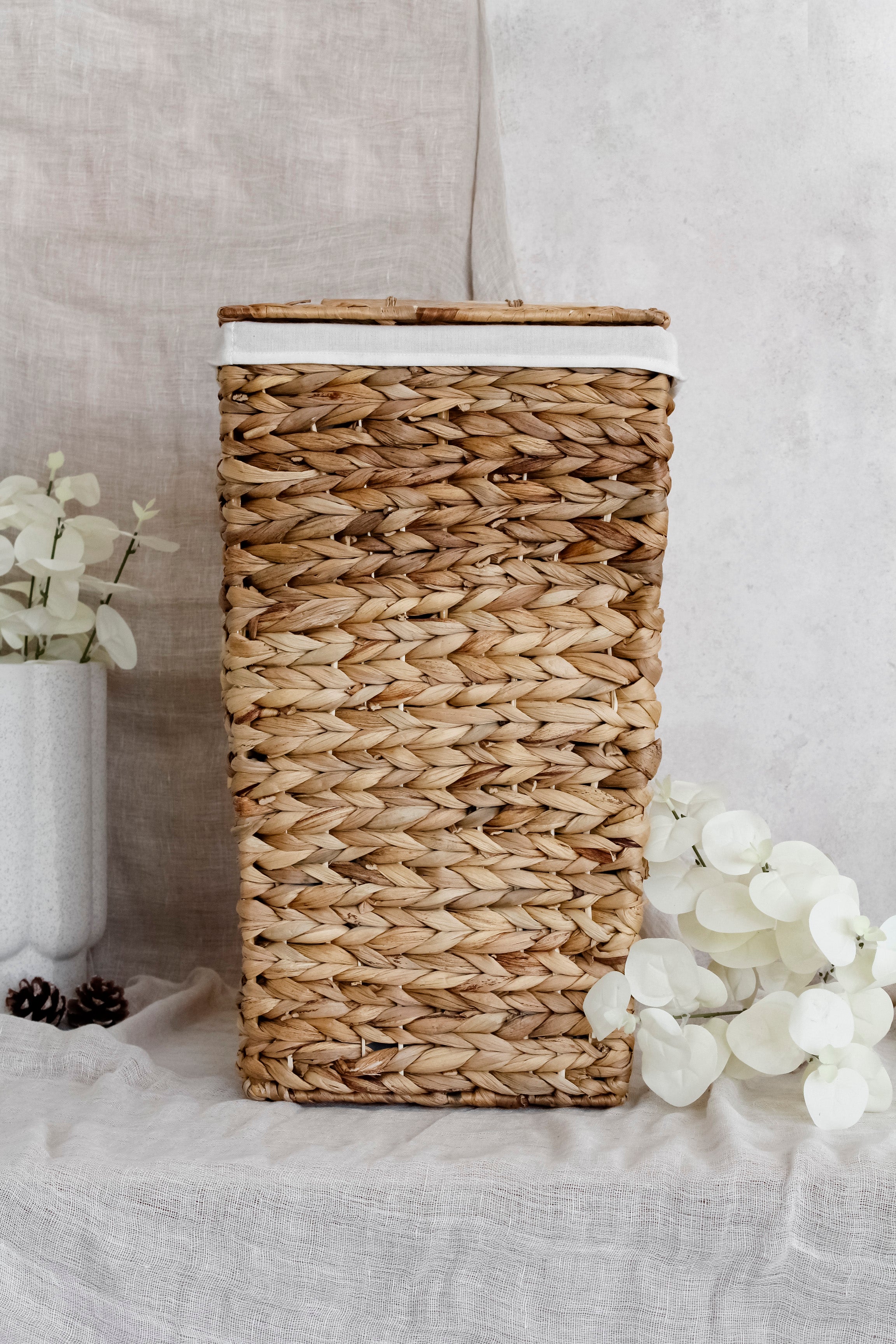 Canasto Fibra Género