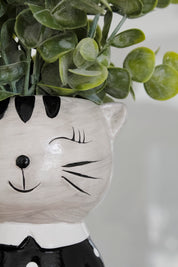 Macetero Cerámica Animales