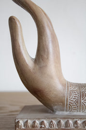 Topes de libro Manos