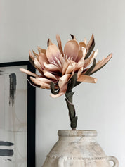Flor Protea Reina
