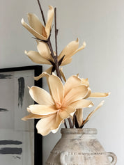 Flores Magnolia Amarilla