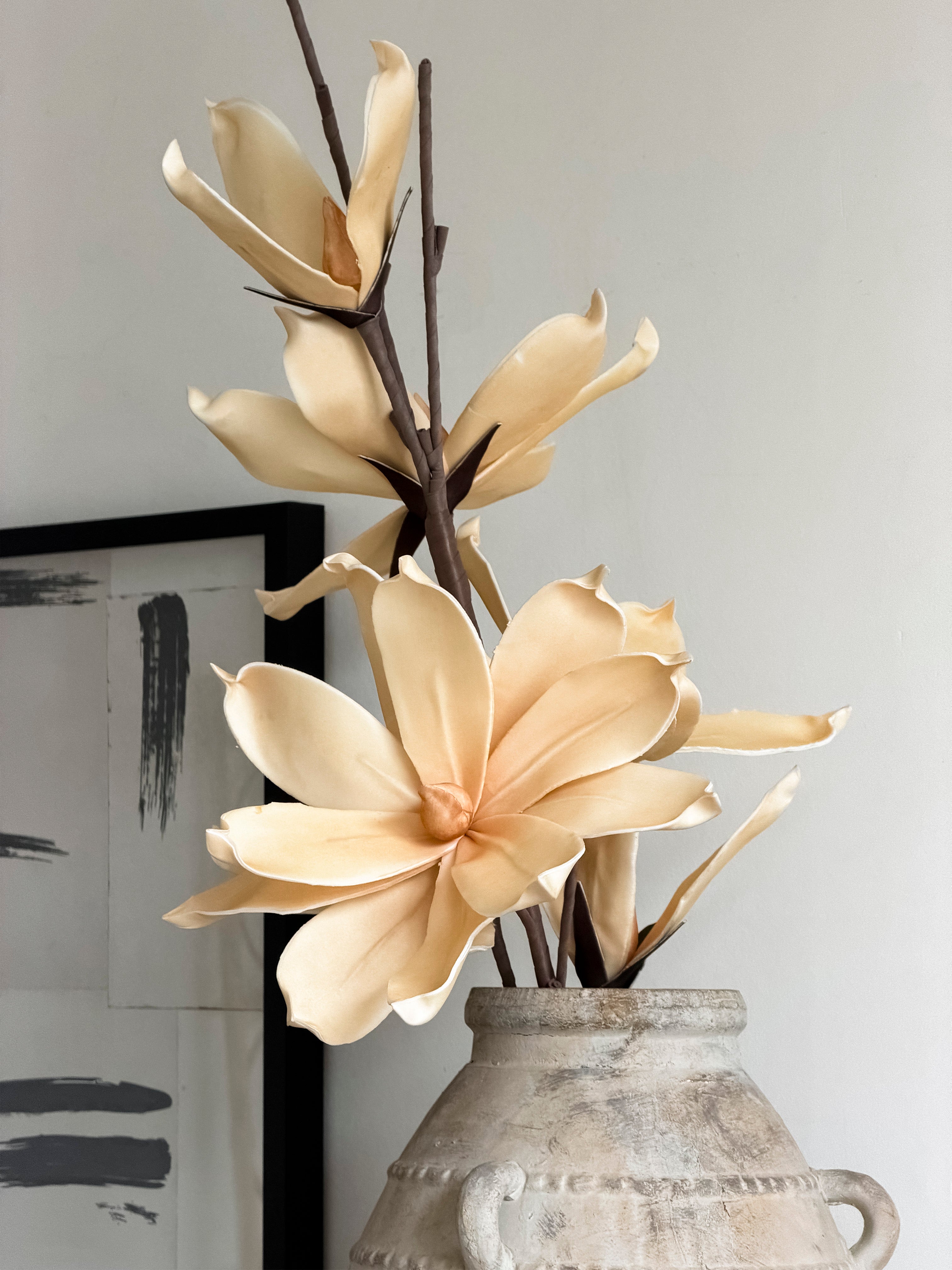 Flores Magnolia Amarilla