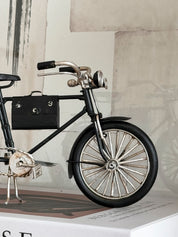 Bicicleta Vintage Chica