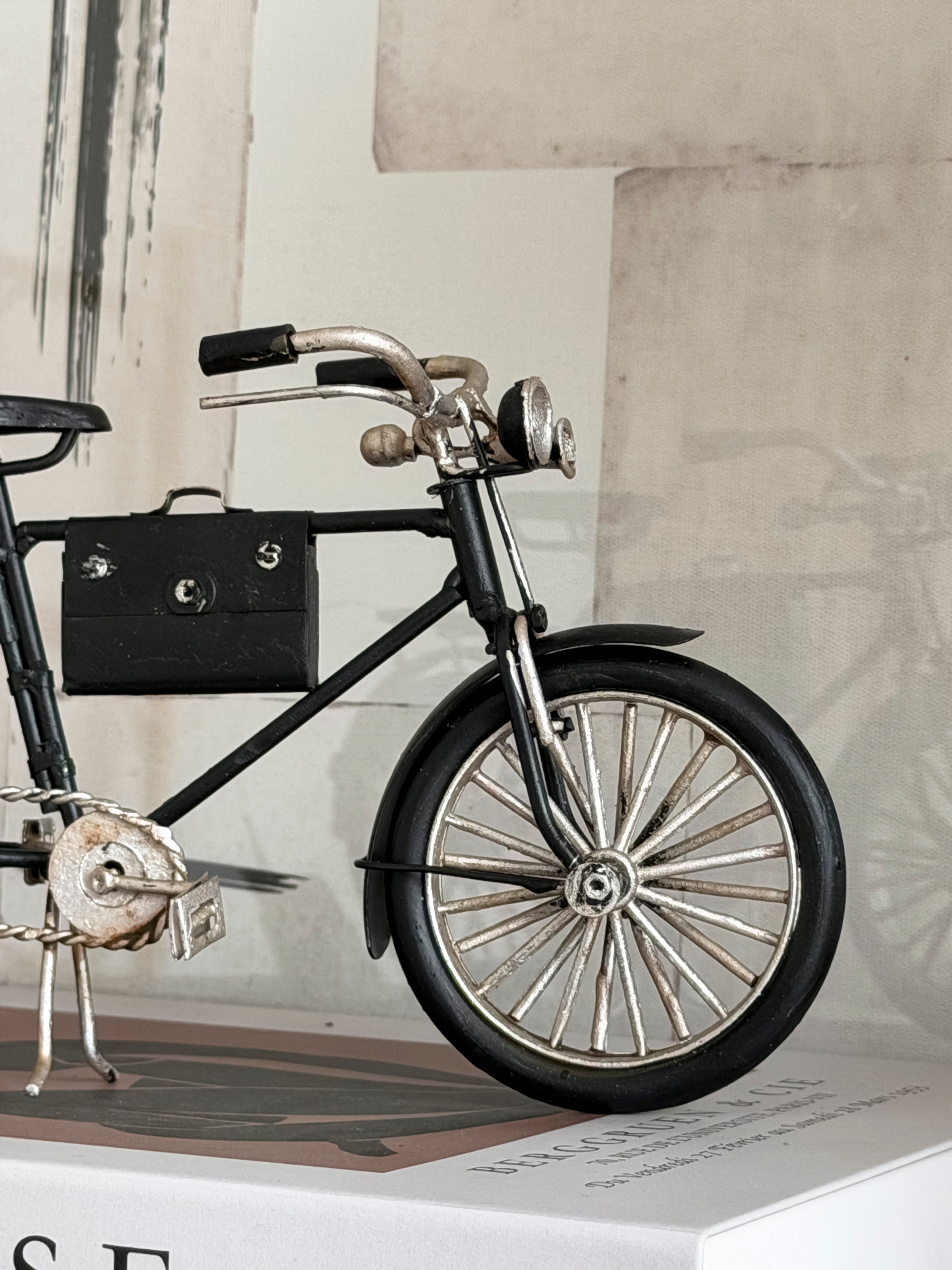 Bicicleta Vintage Chica