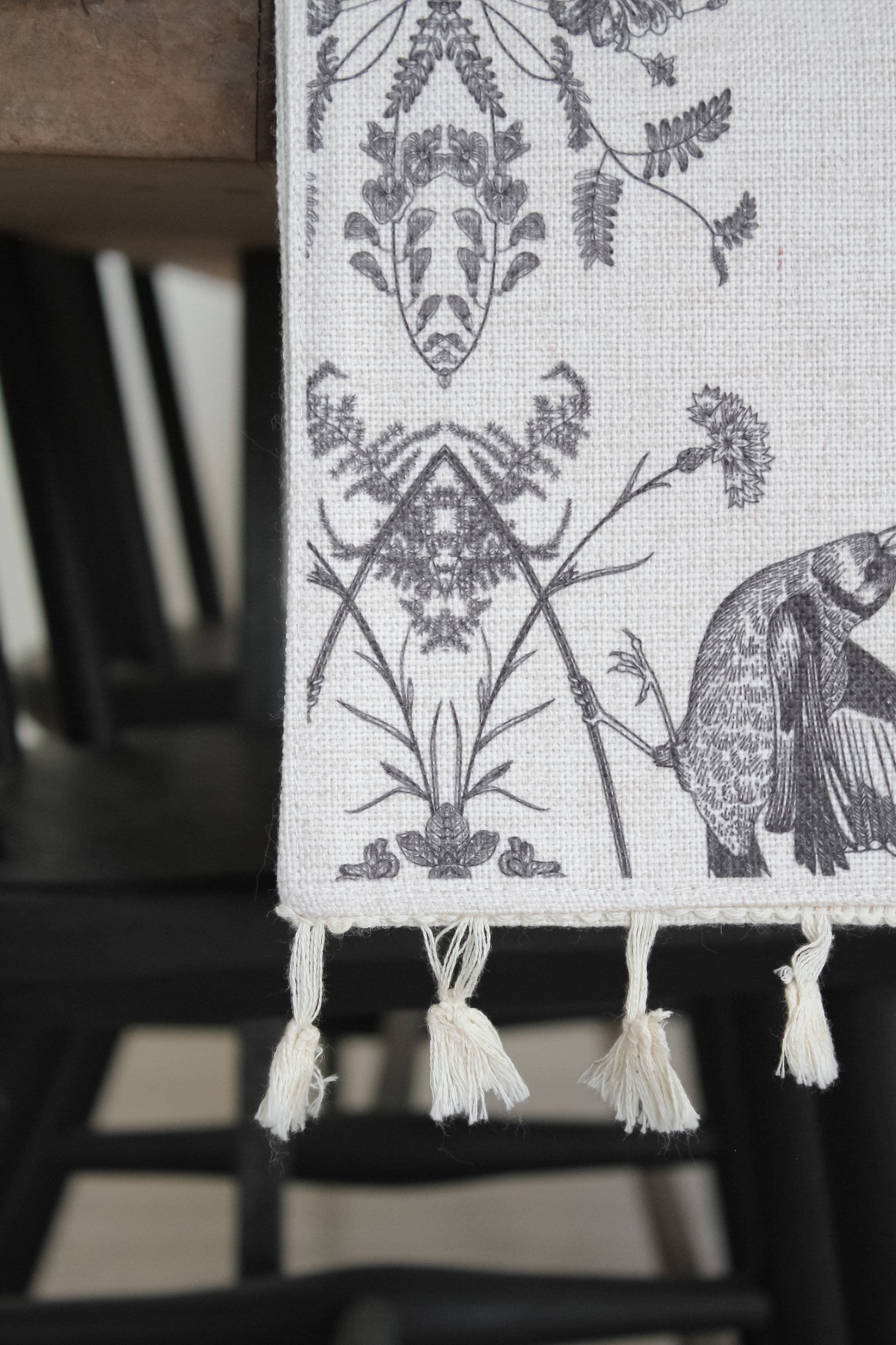 Camino de Mesa Marco Flora y Fauna