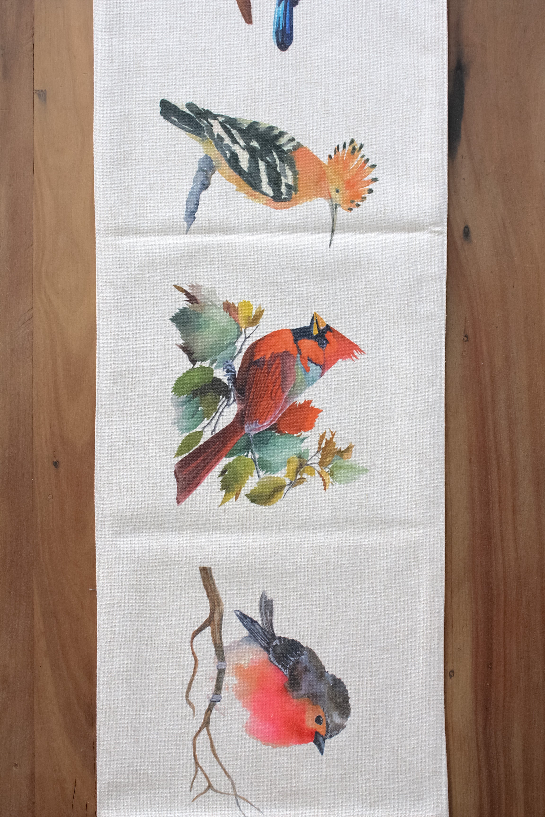 Camino de Mesa Pájaros