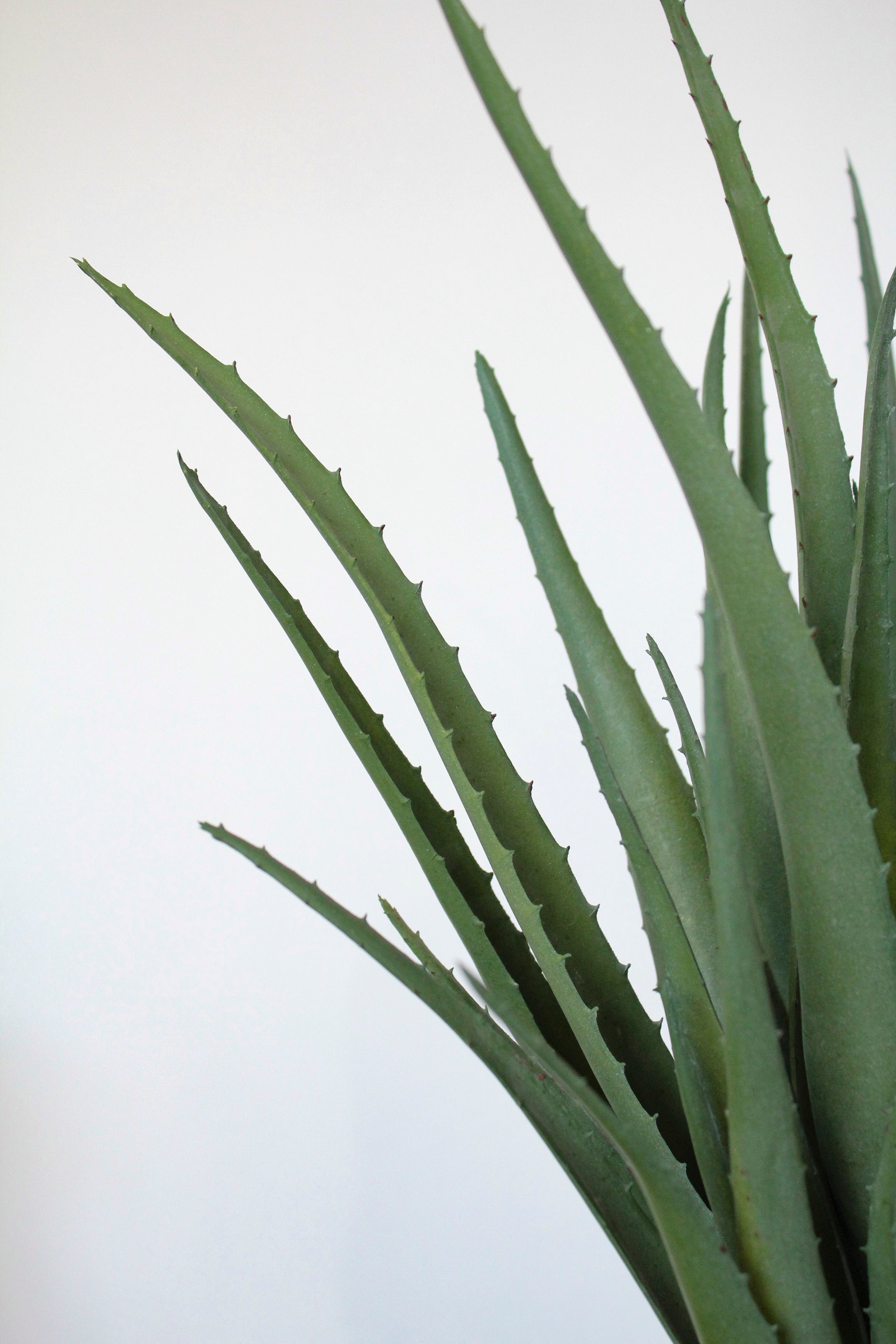 planta aloe vera grande Aloe Vera Artificial Grande – La Batea Deco