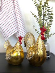 Gallina y Gallo Dorado