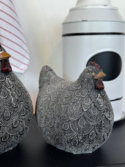 Gallina Jaspeada Negra
