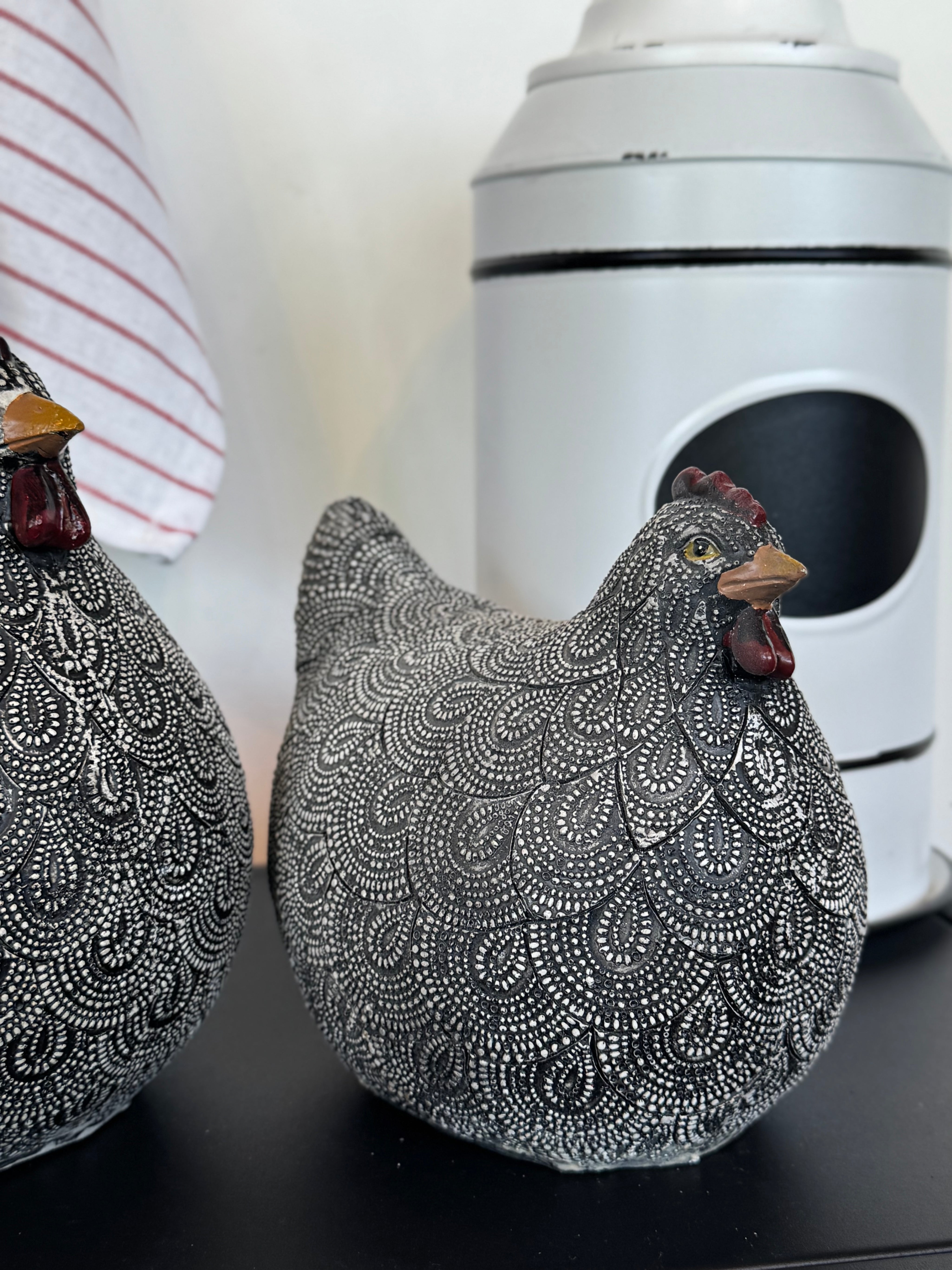Gallina Jaspeada Negra