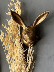 Percha Cabeza Conejo