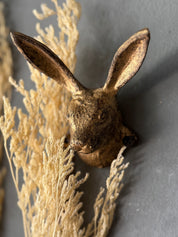 Percha Cabeza Conejo