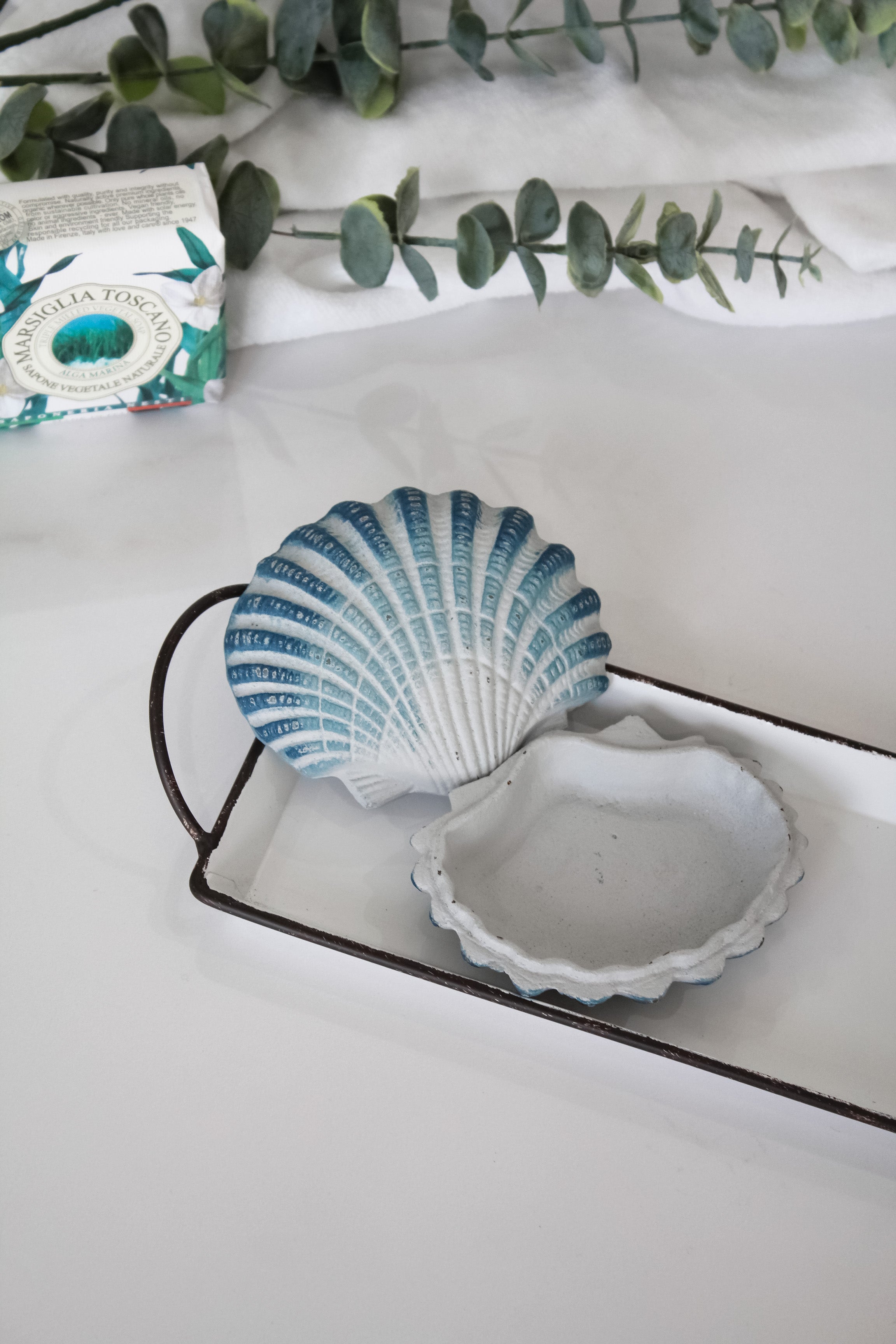 Jabonera Concha de Mar