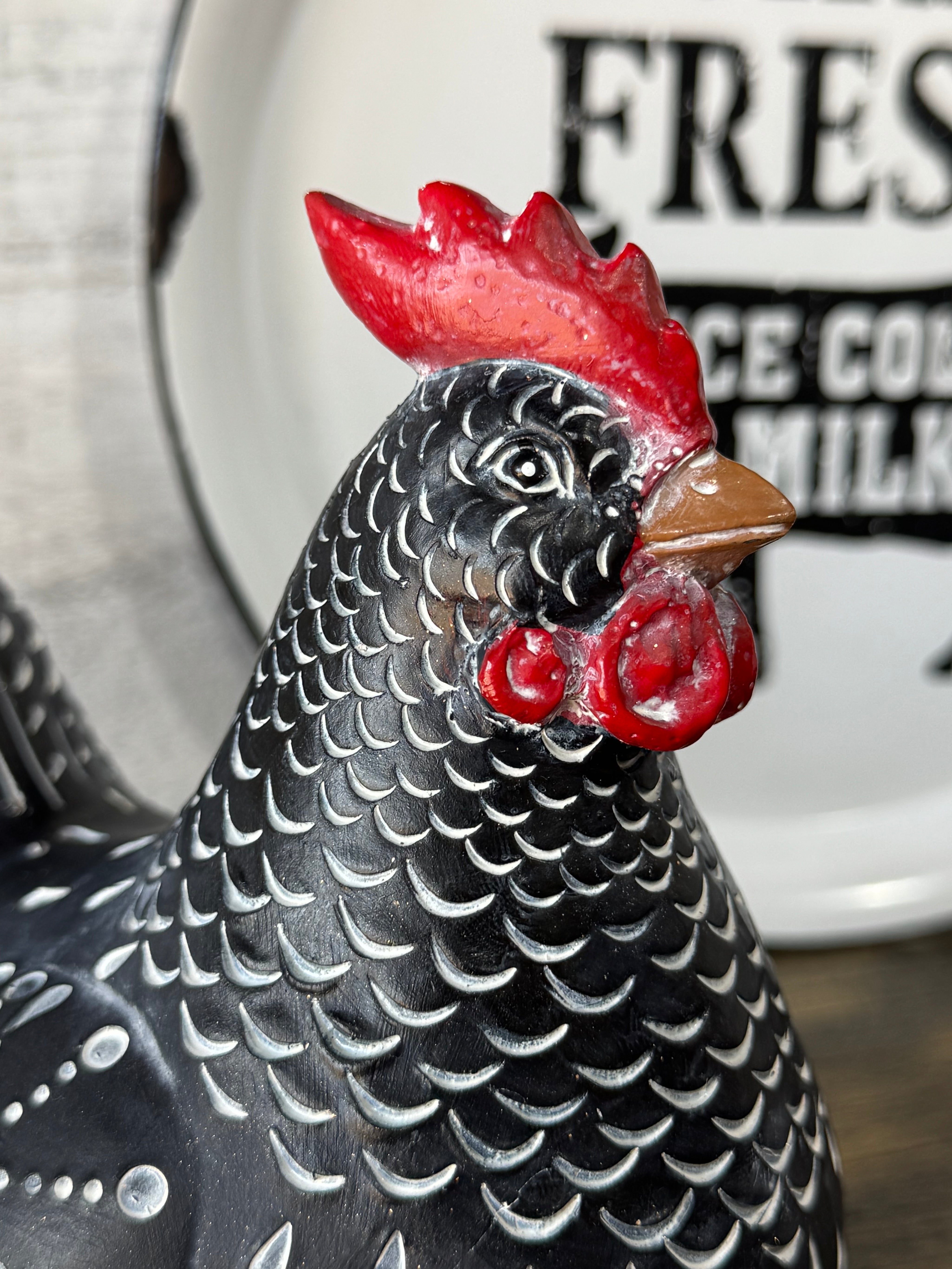 Gallina Echada Negra Pintas