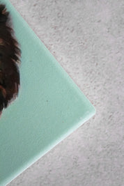 Set Posavasos Animales (x4)