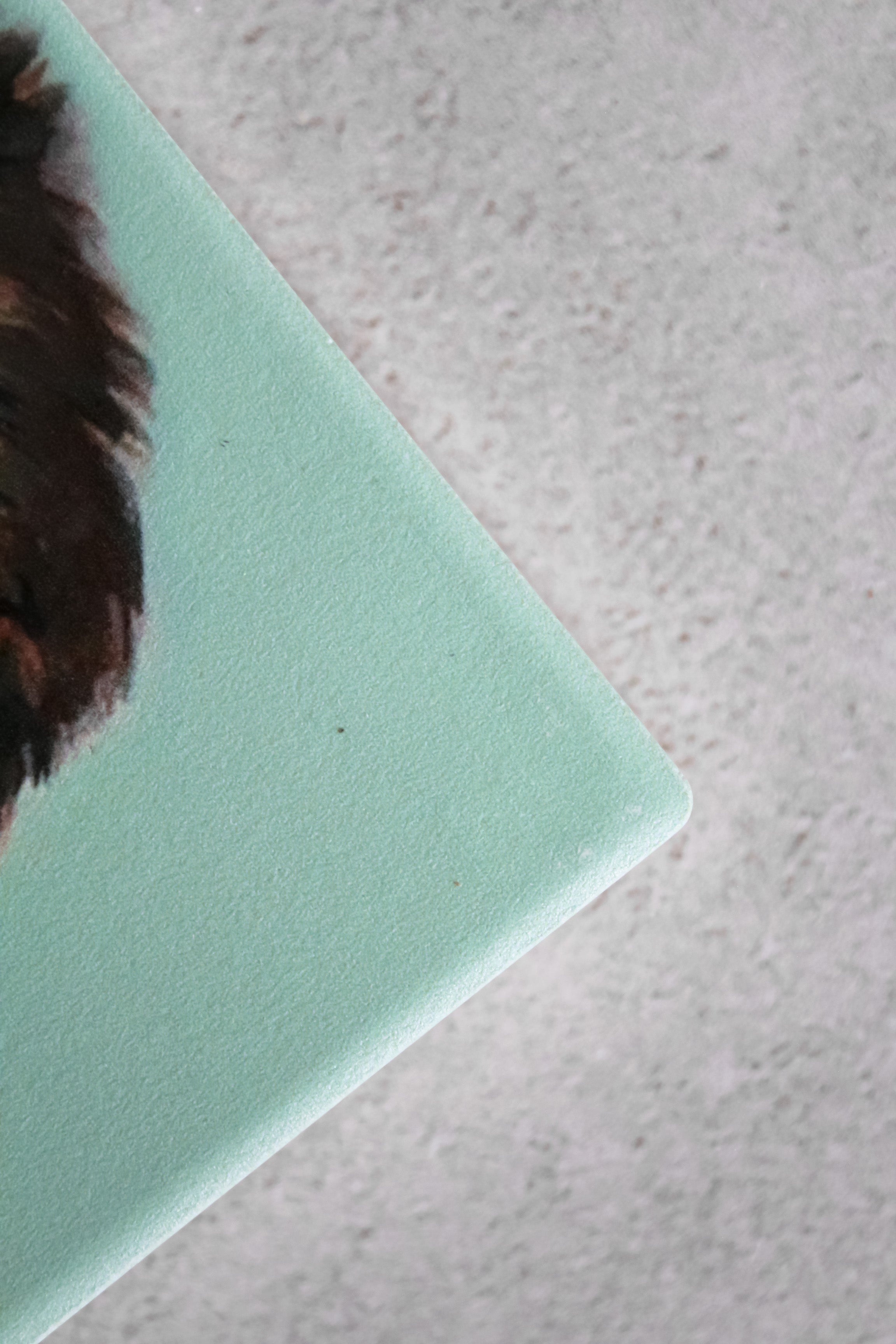 Set Posavasos Animales (x4)