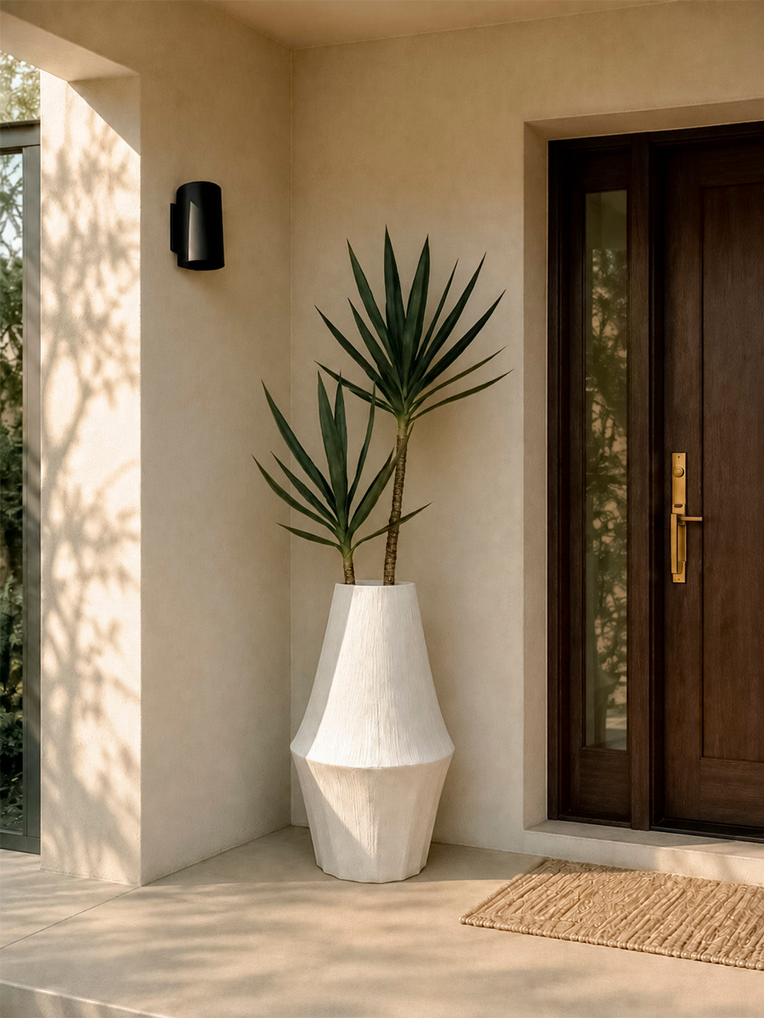 Yucca