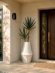 Yucca